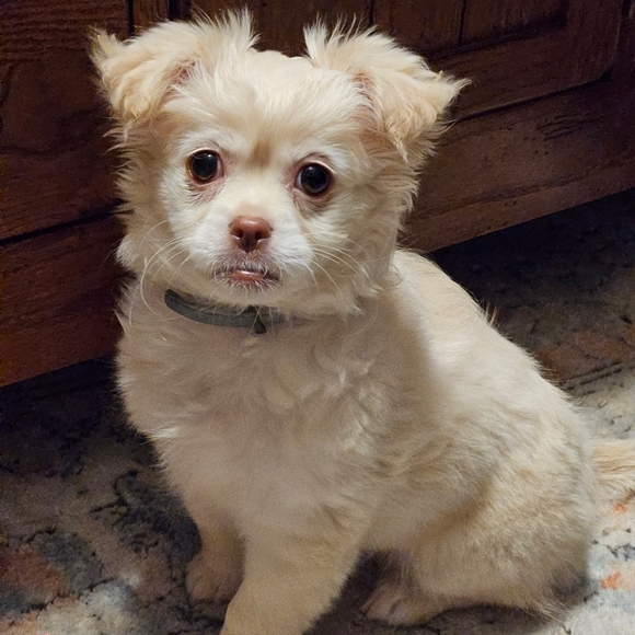 Me, in a nutshell - Picture 12 of 13